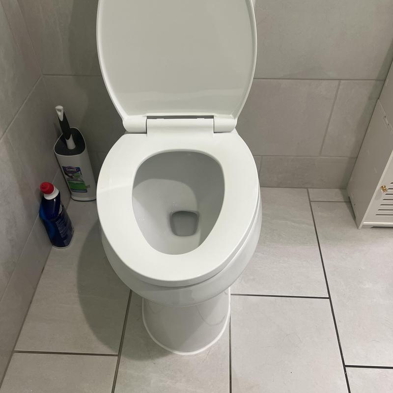 Flushometer style commercial toilet with open lid