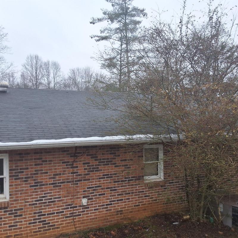 Asphalt shingle roof with nearby tree and gutter line