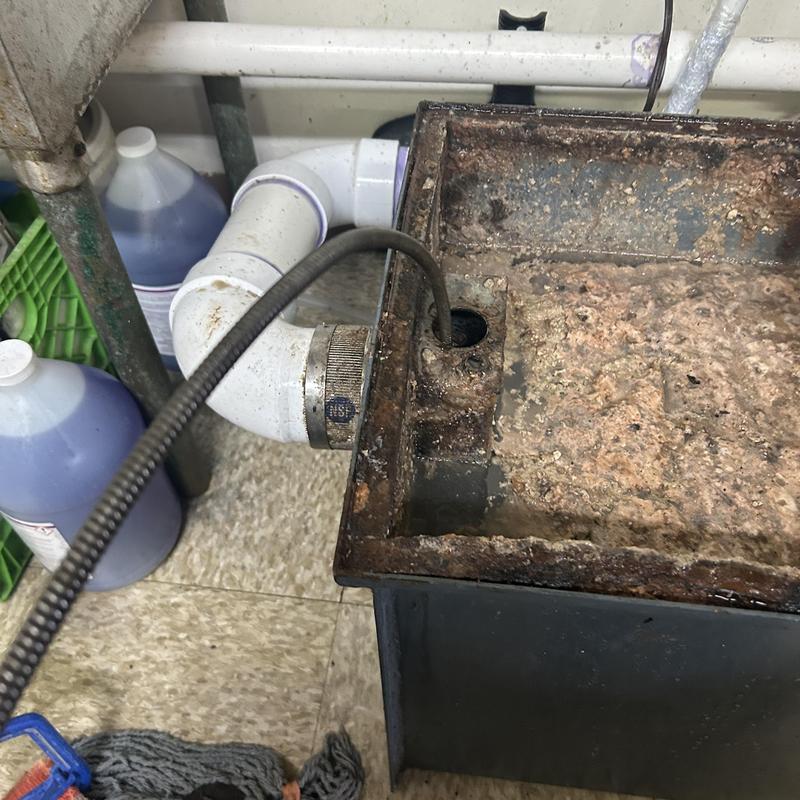 Kitchen sink drain pipe cleared of grease buildup