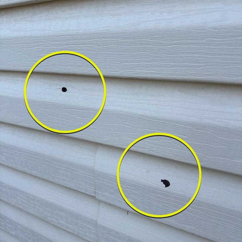 Vinyl siding hail damage with circled impact holes
