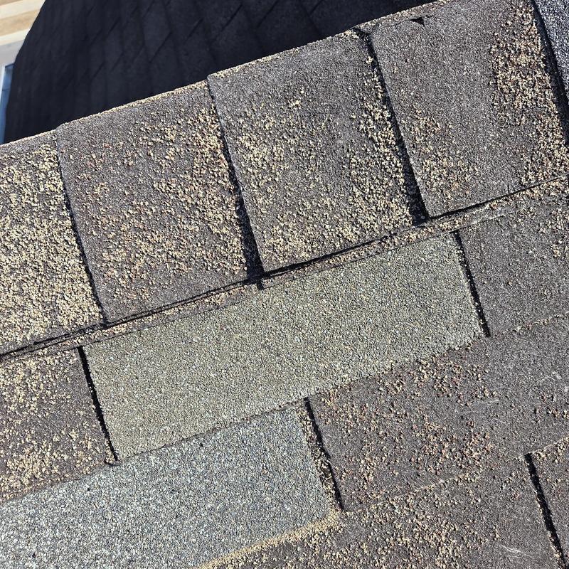 Asphalt roof shingles with new replacement shingle installed