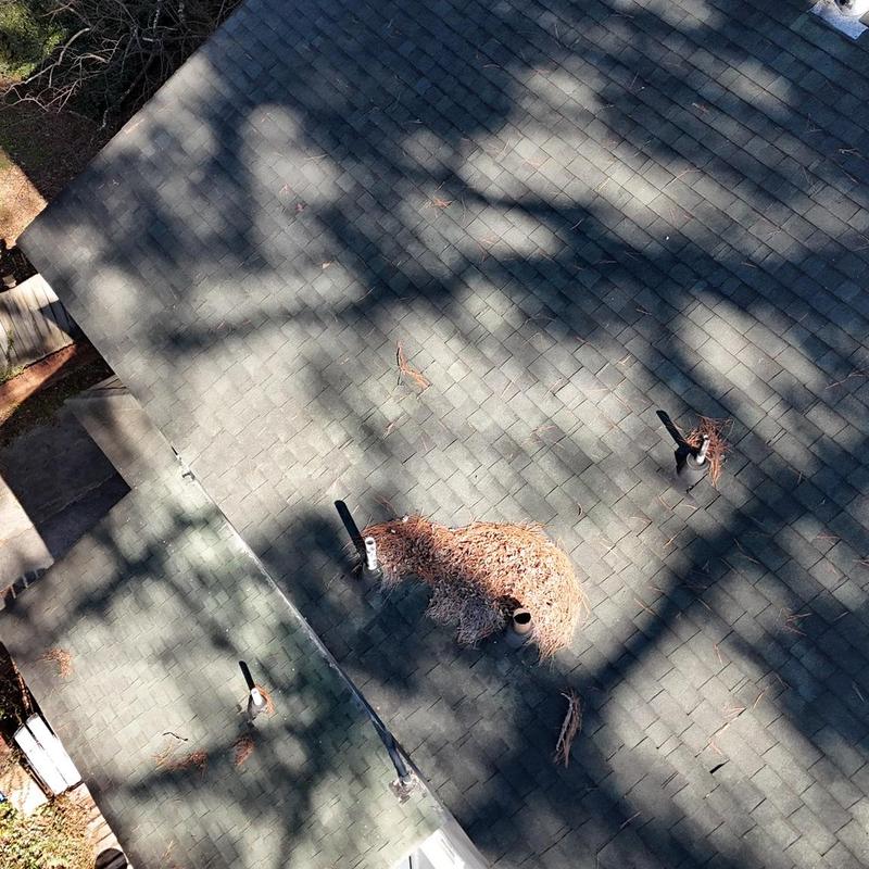 Asphalt shingle roof with debris near vents