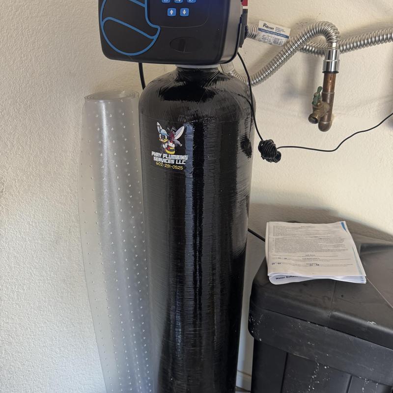 Water softener system with control valve and manual
