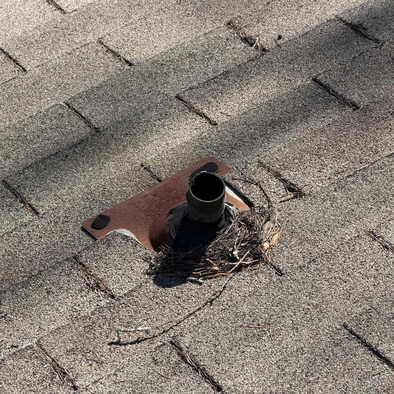 Roof vent pipe with deteriorated flashing and debris nest