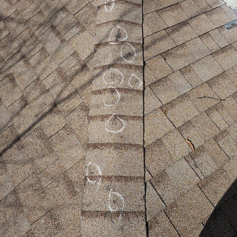 Roof shingles with hail damage marked in circles Roof shingles with hail damage marked in circles