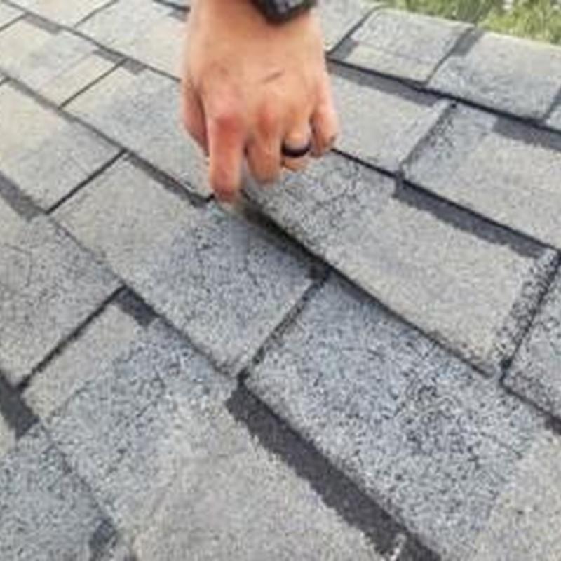 Asphalt shingles lifting from roof during inspection