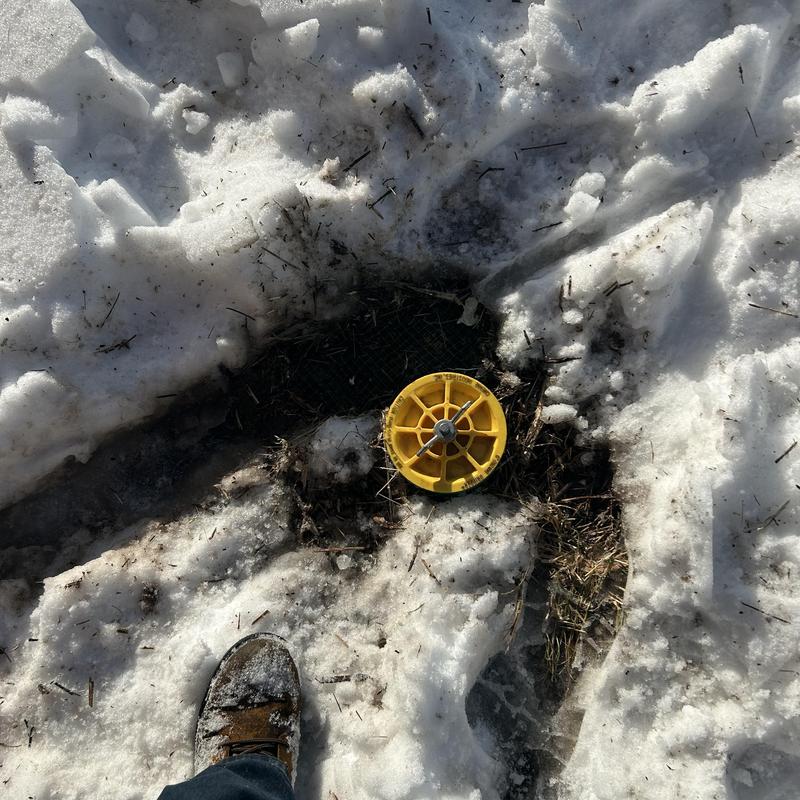 Sewer cleanout cap surrounded by melting snow and ice