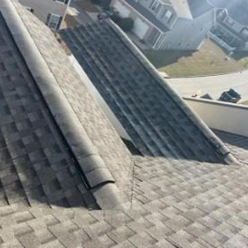 Asphalt shingle roof on townhouse in Savannah, GA