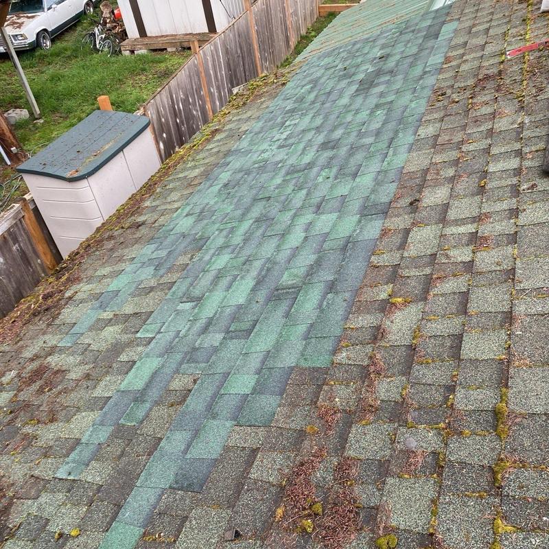 Asphalt roof shingles with partial moss and debris buildup
