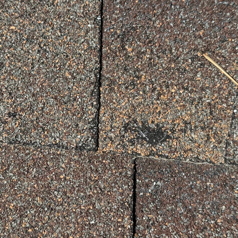 Asphalt shingle roof close-up showing granule wear and damage