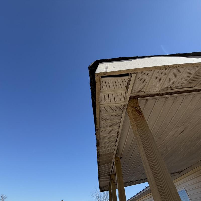 Vinyl soffit and wood fascia on back porch