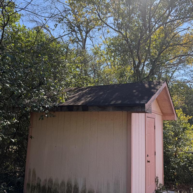 Shed roof with worn shingles and wood trim damage
