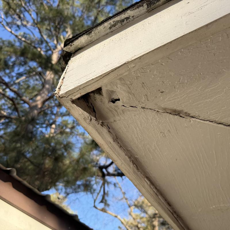 Wood soffit with visible rot and cracks outdoors