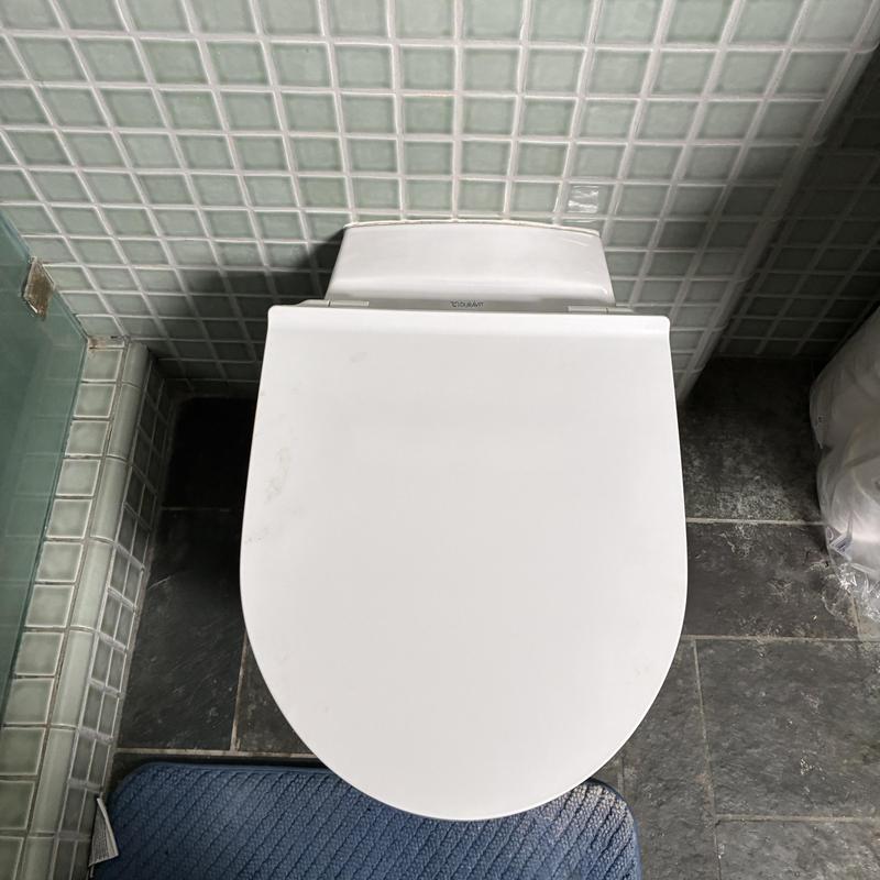 Toilet seat installation in bathroom with tiled walls