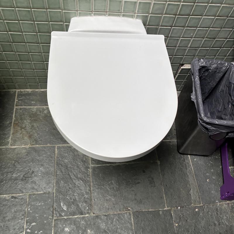 Toilet seat reinstallation in residential bathroom