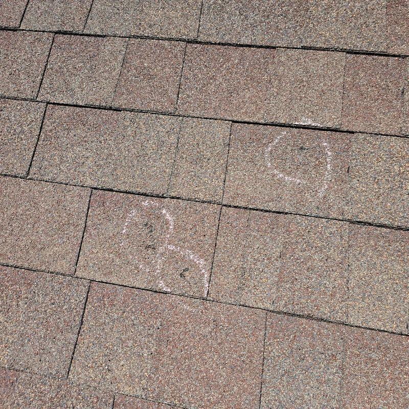 Asphalt roof shingles with chalk-marked hail damage Asphalt roof shingles with chalk-marked hail damage