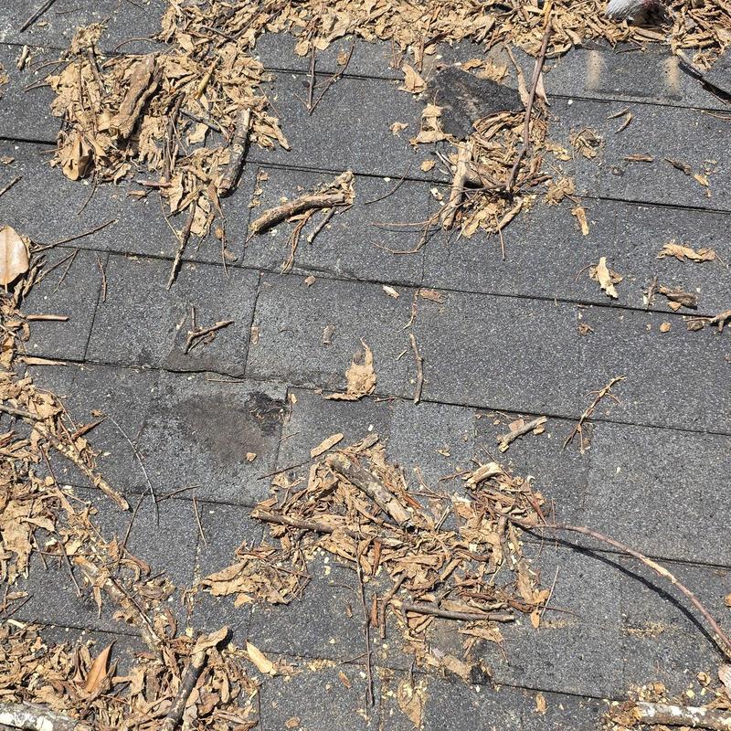 Asphalt shingle roof with debris from hailstorm in Terrell TX