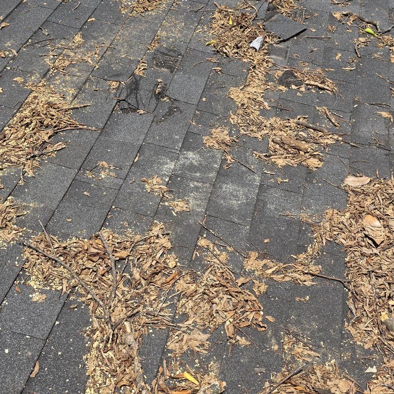 Asphalt roof shingles with dry leaves and debris