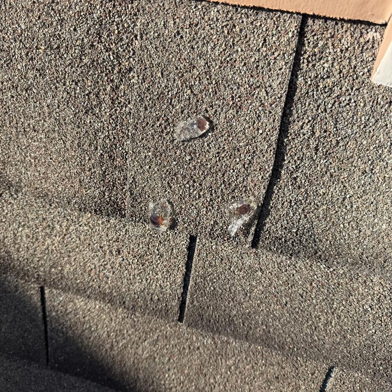 Roof shingles with sealed exposed face nails