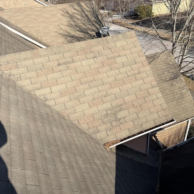 Three-tab shingle roof with some sealant missing on nails