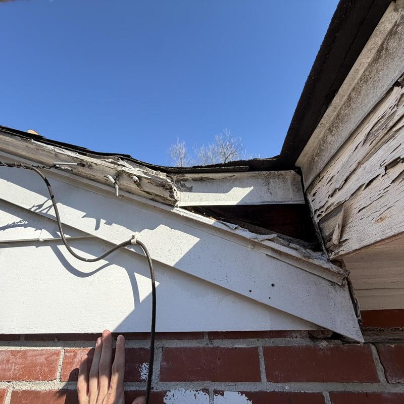 Wood fascia and soffit damage on house corner