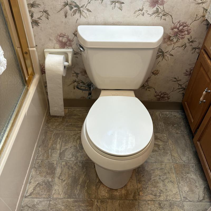 Toilet and bathroom plumbing with floral wallpaper background Toilet and bathroom plumbing with floral wallpaper background