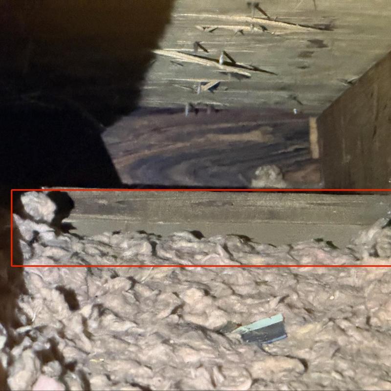 Attic insulation with missing coverage causing moisture issues