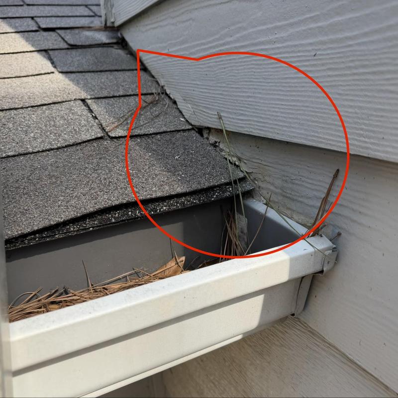 Damaged wood fascia and soffit behind gutter on roof edge