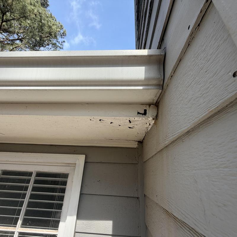 Damaged wood fascia and soffit under gutter corner