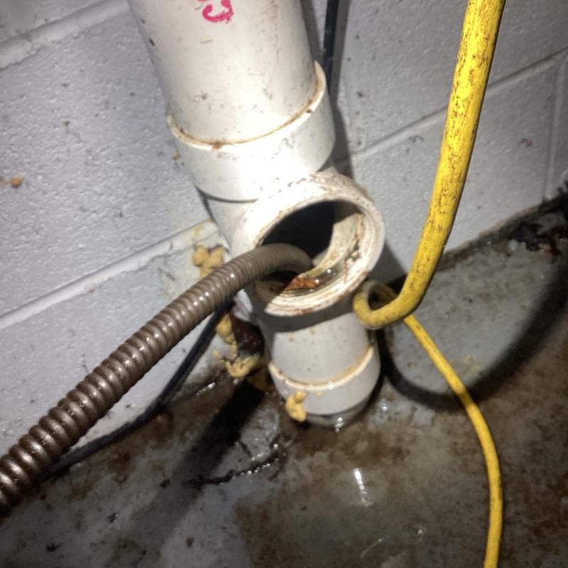 Main line PVC pipe with drain cable insertion