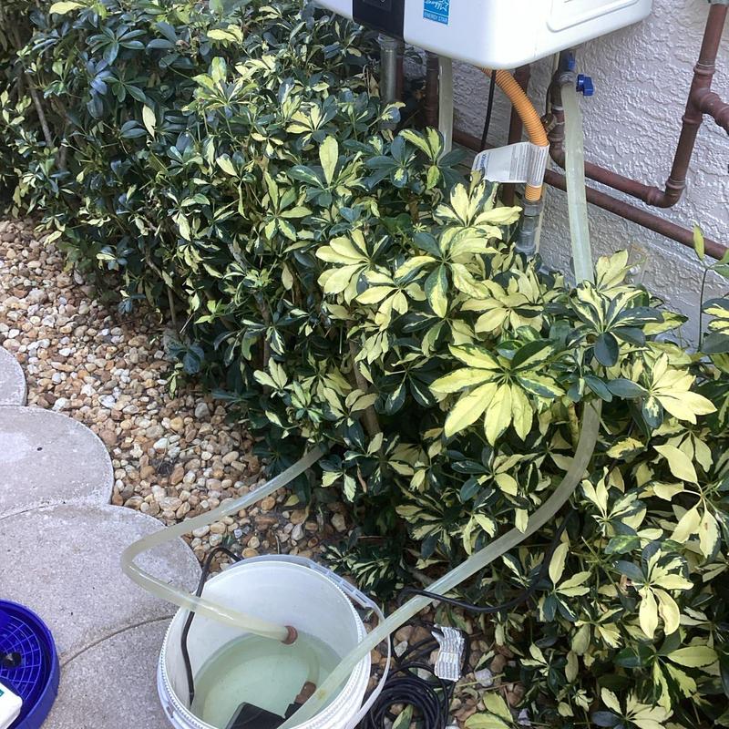 Natural gas tankless water heater flush with bucket