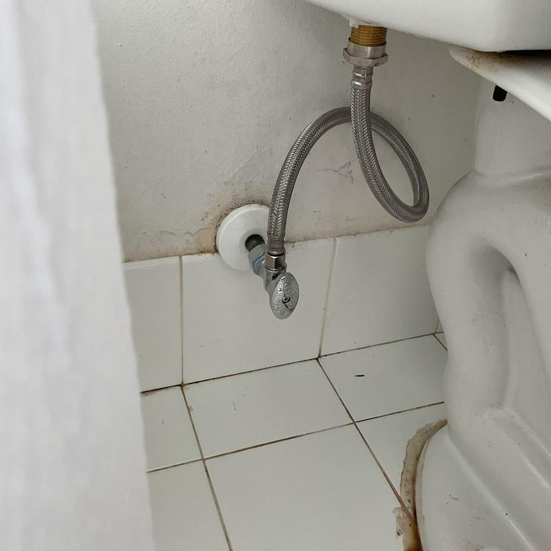 Toilet angle stop valve with braided supply line