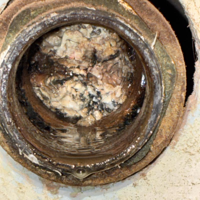 Urinal drain clogged with mineral and debris buildup