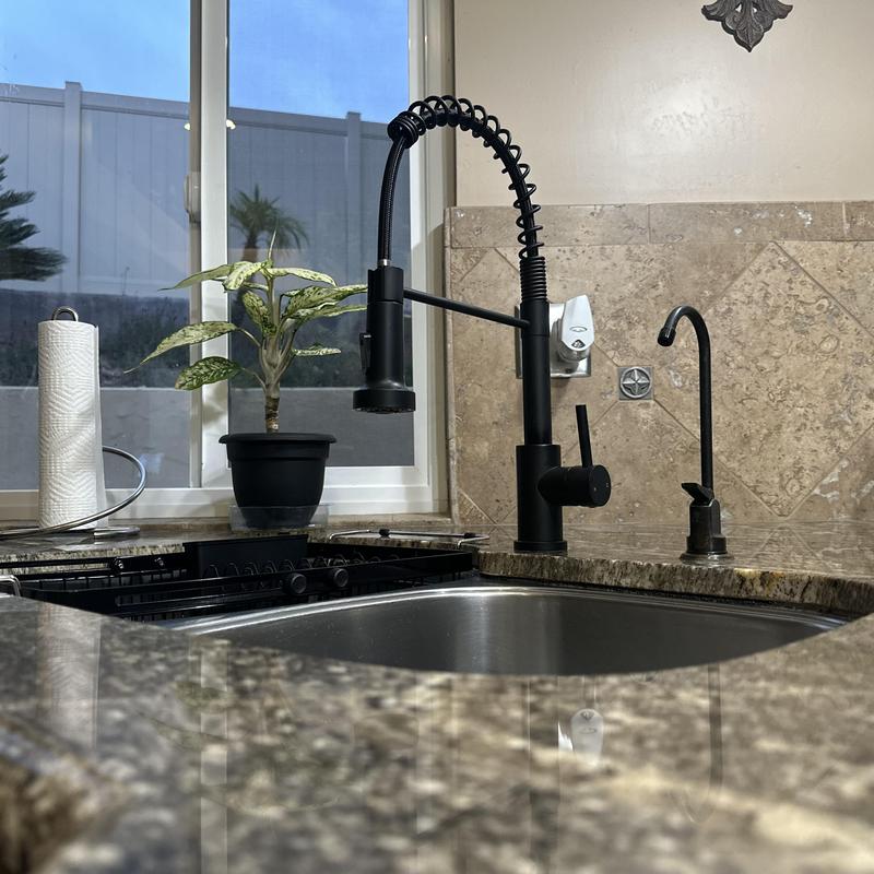 Moen oil-rubbed bronze pull-out kitchen faucet Moen oil-rubbed bronze pull-out kitchen faucet