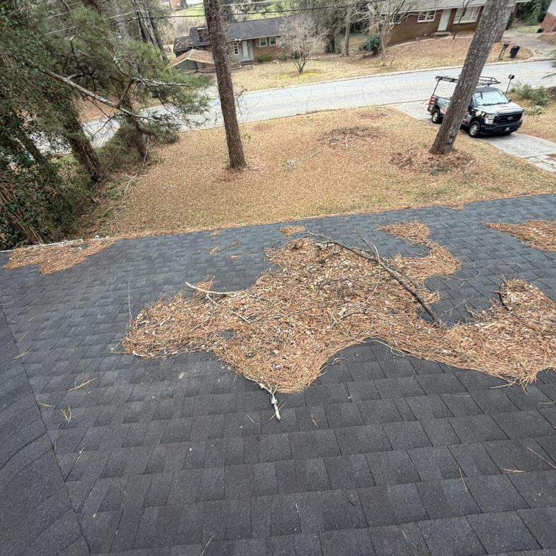 Roof shingles covered in pine needles and debris