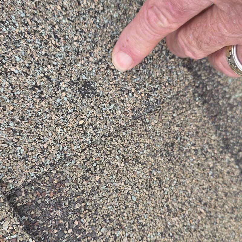 Asphalt shingle roof granular hail damage close-up