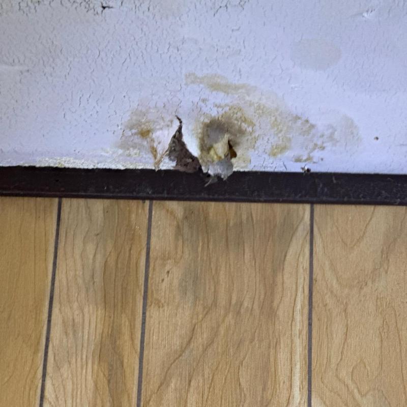 Ceiling water damage with peeling and stains near floor trim Ceiling water damage with peeling and stains near floor trim