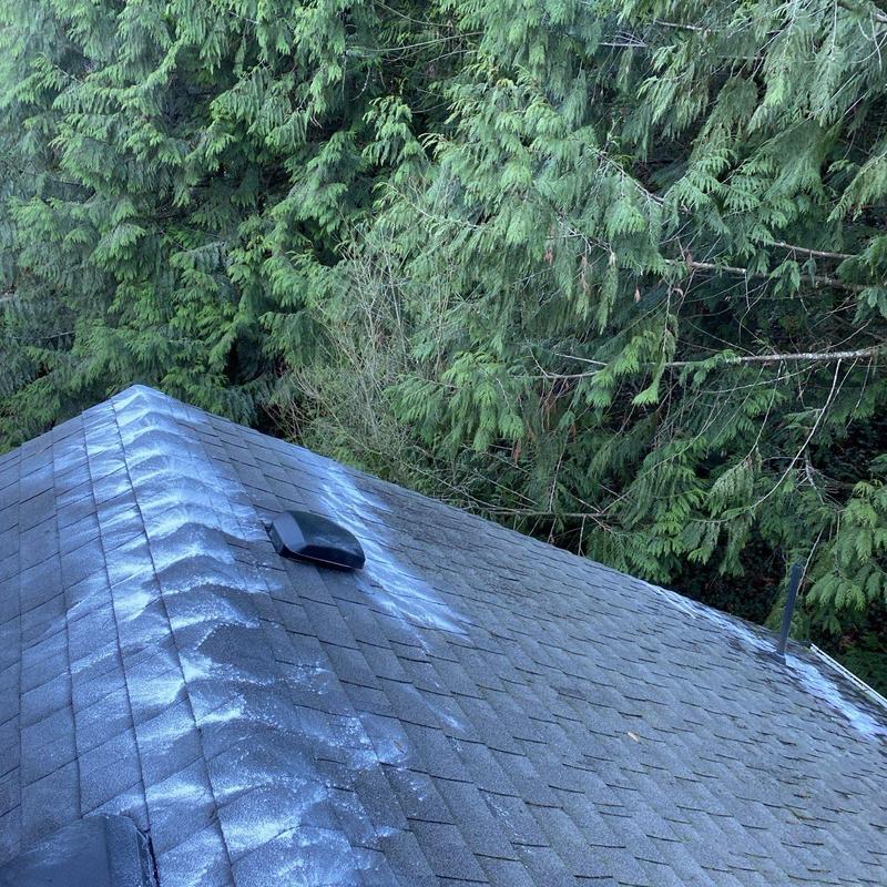 Roof shingles with moss treatment and cleaning residue