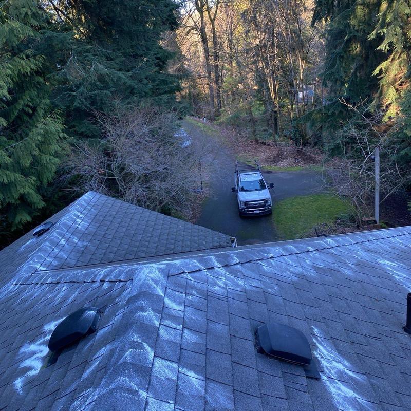 Asphalt shingle roof with moss treatment and cleaning