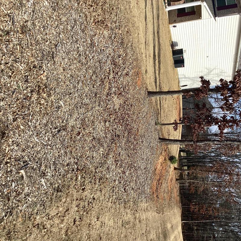 Septic tank jet line access on residential property