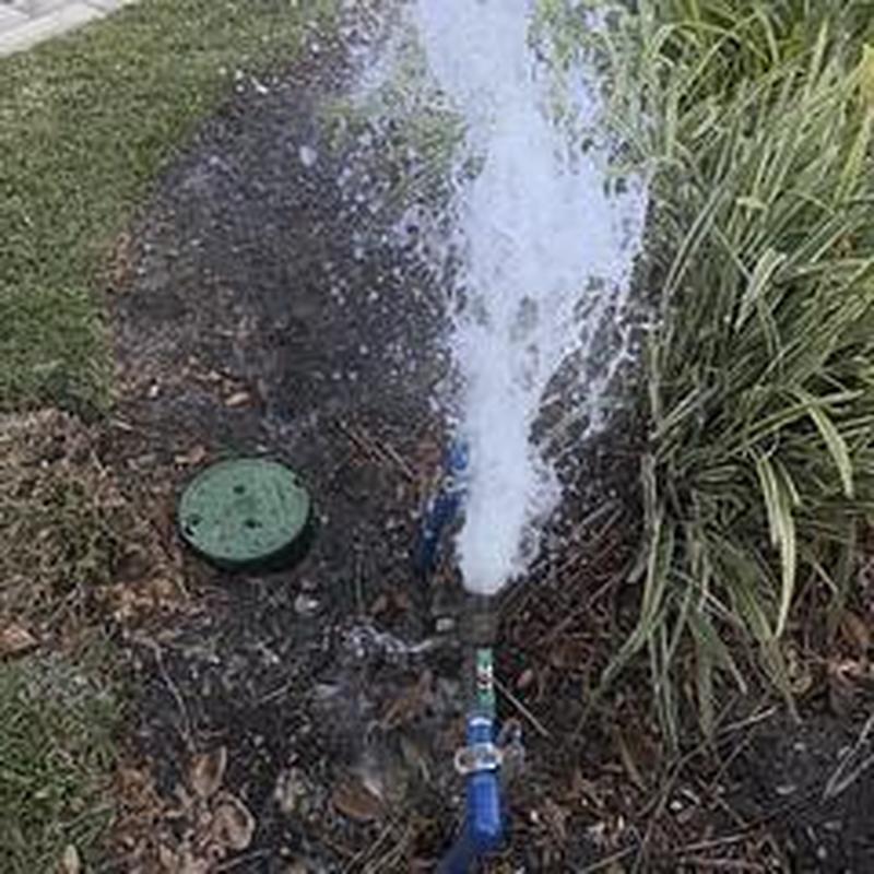 Backflow preventer leaking water outside near plants