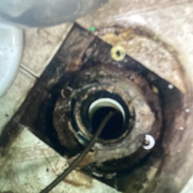 Sewer line access with plumbing snake inserted