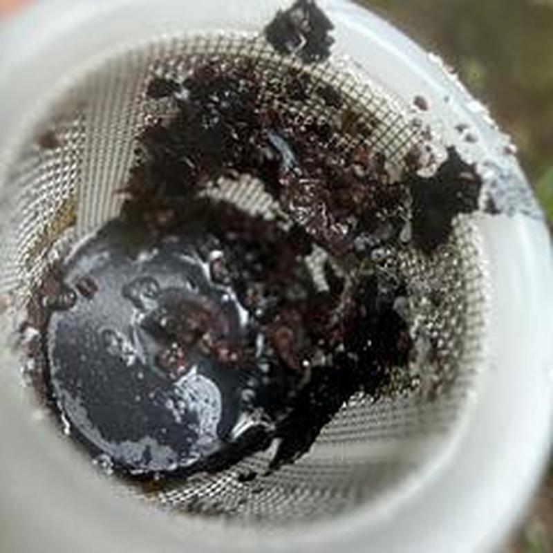 Water heater inlet filter clogged with debris inside mesh screen