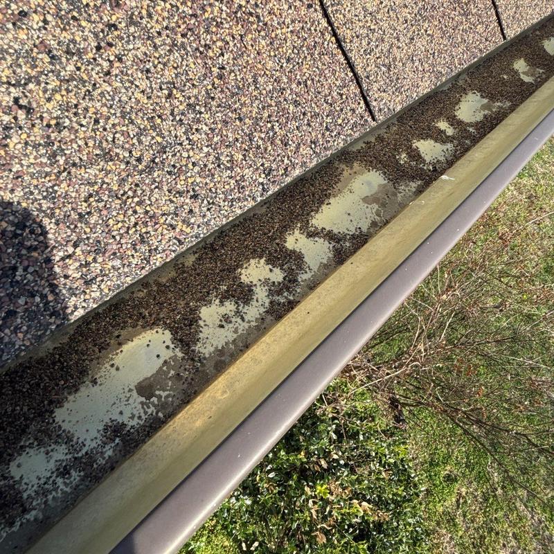 Roof gutter with debris buildup and worn paint