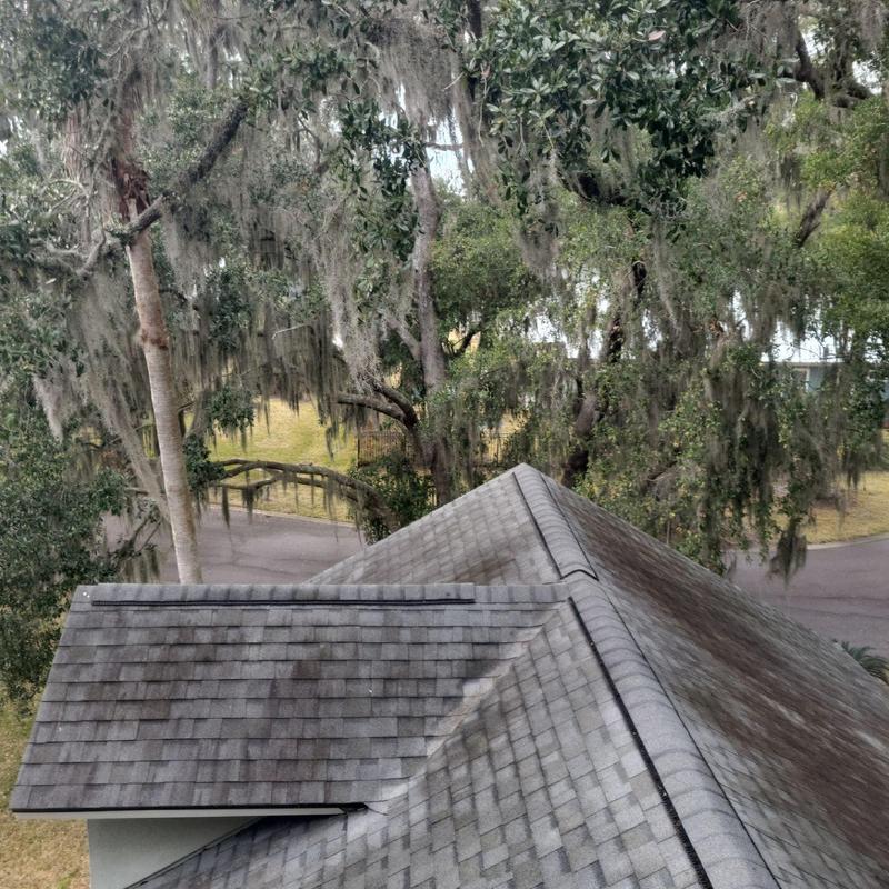 Roof shingles cleaned with new fascia metal installed