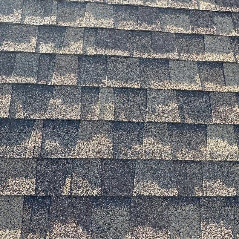 Asphalt roof shingles showing hail damage marks