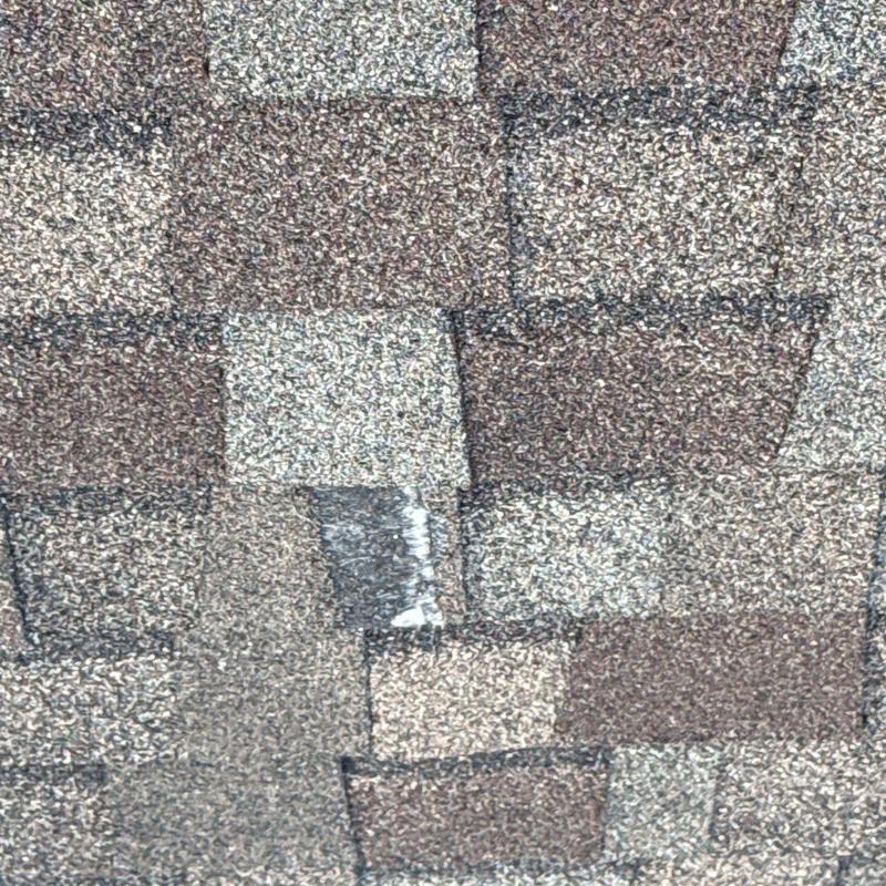 Asphalt roof shingles with hail damage and wear