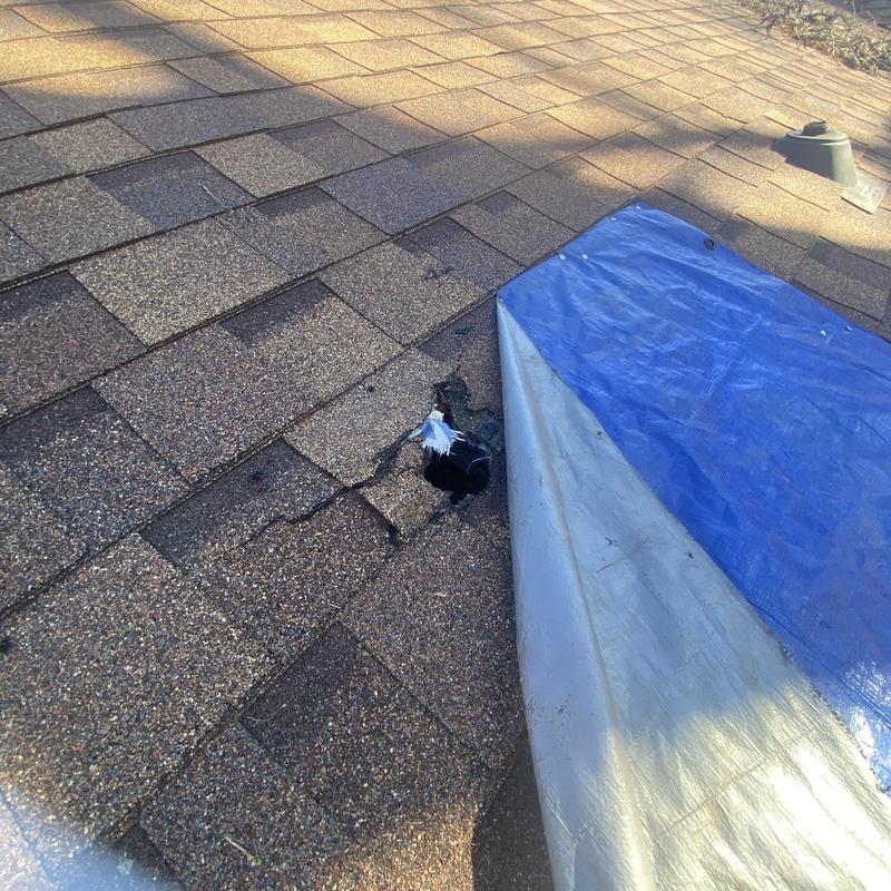 Asphalt shingles with tree damage hole and tarp covering Asphalt shingles with tree damage hole and tarp covering