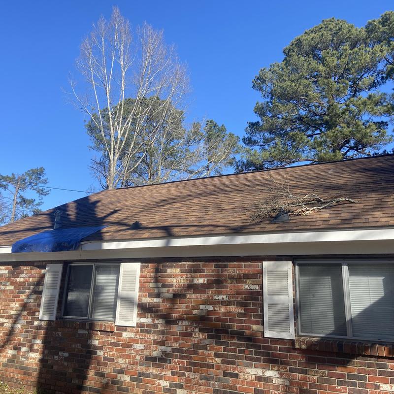 Asphalt shingle roof with tree branch debris and tarp Asphalt shingle roof with tree branch debris and tarp