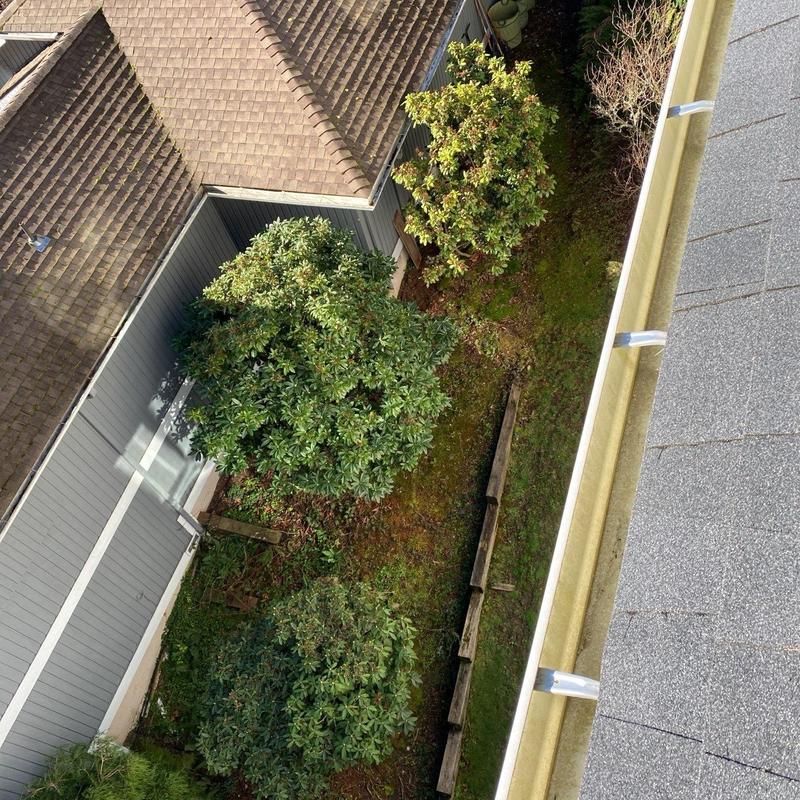 Gutter cleaning on residential roof edge in Bellevue